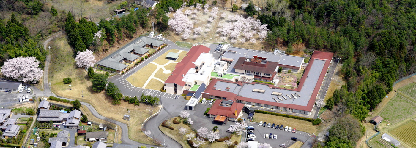 航空写真